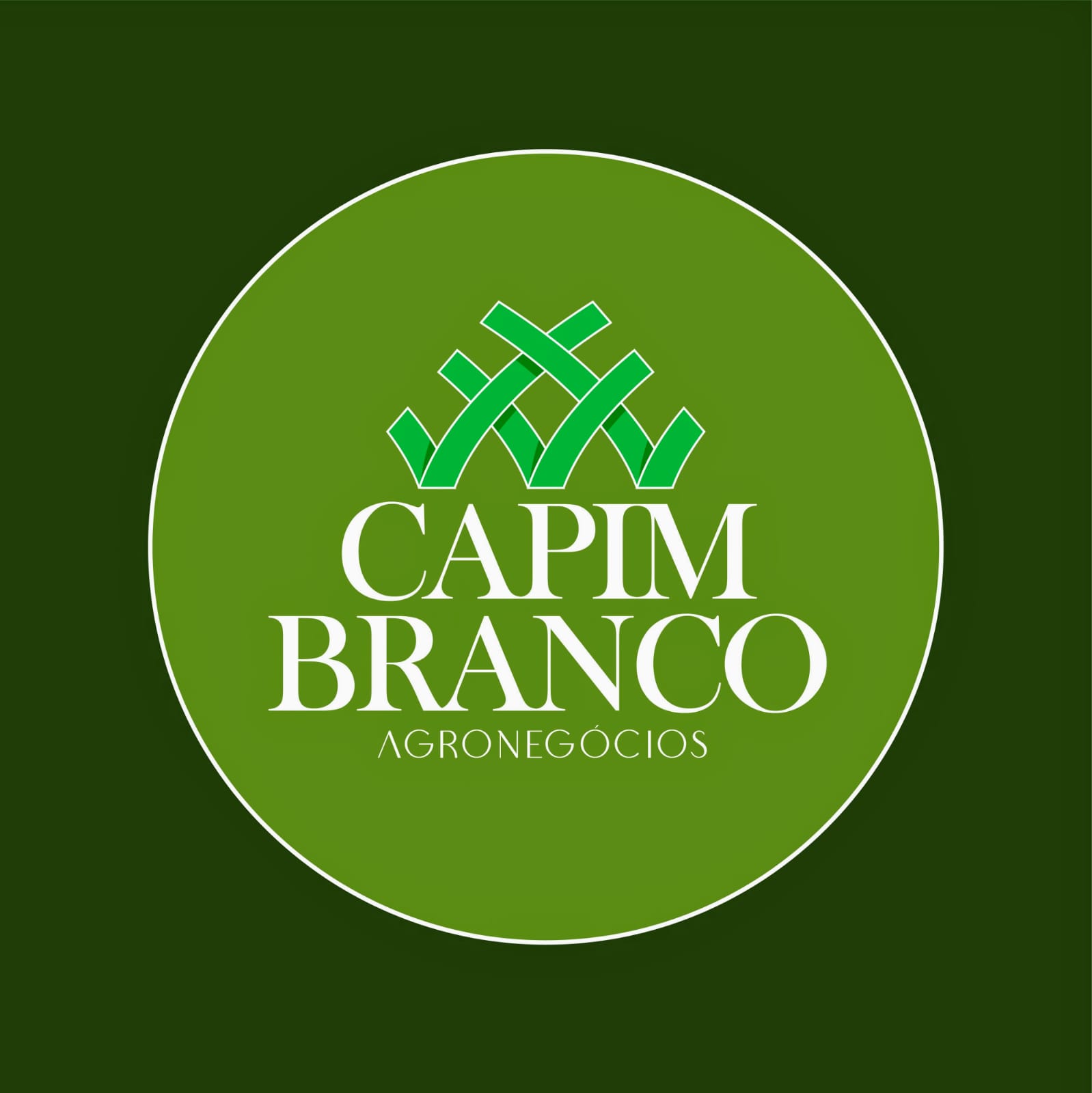 Capim branco agronegócios