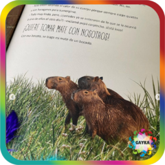 EL PAIS EN TERO. AVENTURA EN EL LITORAL - EDITORIAL AREA DE PICNIC - comprar online