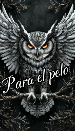 Banner de la categoría Ganchos y hebillas de pelo
