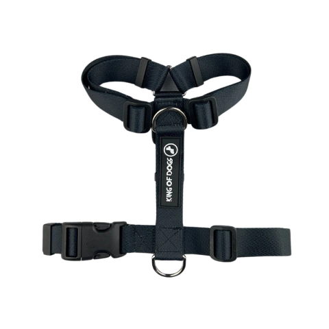Peitoral Modelo H Black + Guia