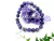 Pulseira Ametista - Especial Signos (Áries) - comprar online
