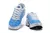 Tênis Air Max TN Plus "Battle Blue" - Jordan's do Spider