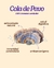 Cola de Pavo en polvo - 50 gr (Trametes Versicolor) - comprar online