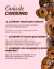 Reishi - 60 Cápsulas - 200mg - tienda online
