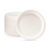 Plato Descartable Biodegradable 21cm x 10 unidades