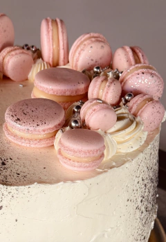 Macarons x24 en internet