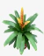 Vresia - comprar online