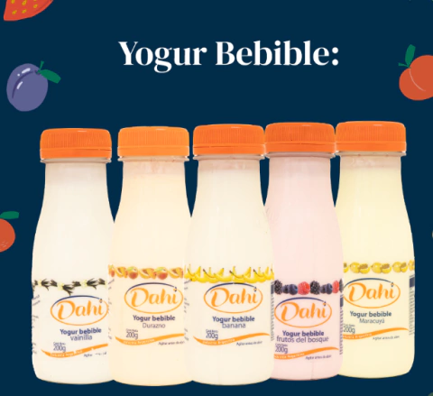 Yogur bebible Dahi 200g variedad sabores