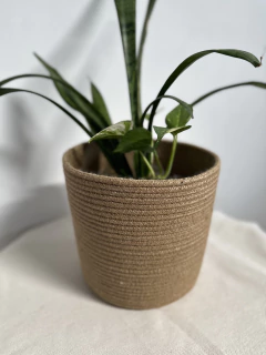 Cesta 20x20 ideal macetero en internet