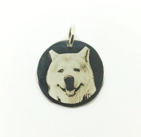 Medalla de plata 925 con fotograbado perro / gato