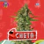 Cheta (Fem) x4 Riqui Genetics