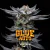 Gorilla Glue Auto x12 BSF
