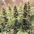 Power Plant x3 Dutch Passion en internet