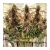Auto Power Plant x3 Dutch Passion - comprar online