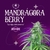 Mandrágora Berry Auto x4 Mystique Seeds