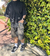Imagen de bermuda baggy milan