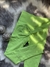 Calza larga deportiva corals green