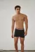 Boxer Irpino B165 en internet