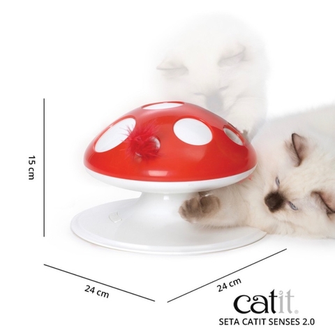 Senses Hongo Interactivo - comprar online