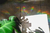 Tu arcoiris personal - Salchicha - comprar online