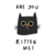 Gatos 3
