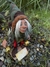 Duende de la Voluntad en internet