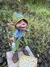 Duende de los Deseos en internet