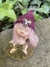 Gnomita