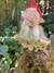 Imagen de Duende Fortuna