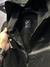 CONJUNTO NK TECH FLEECE - loja online
