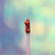 CRYSTAL DROPS GLOSS GOLD DIGGER en internet