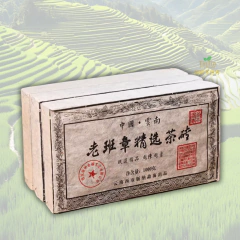 Puer Cocido - Ladrillo Lao Ban Zhang 2010 - 10g