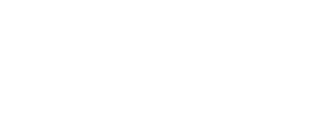 MIZO ARGENTINA