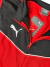 Imagem do conjunto puma
