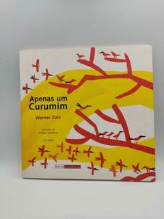 Apenas um Curumim - Autor: Werner Zotz (2006) [seminovo]