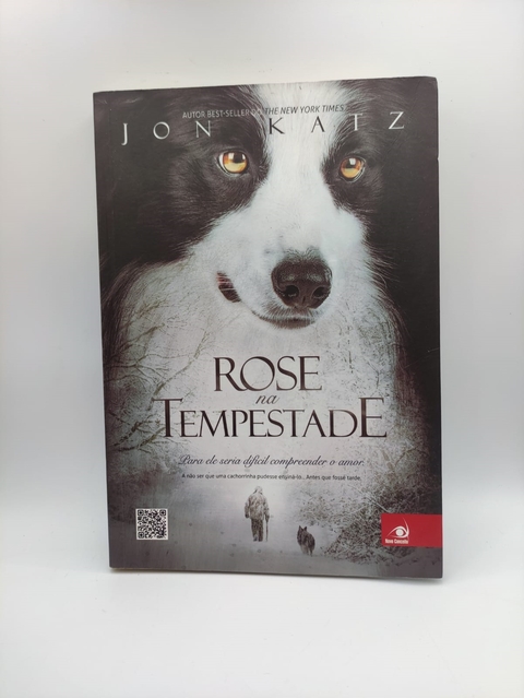 Rose na Tempestade - Autor: Jon Katz (2013) [usado]
