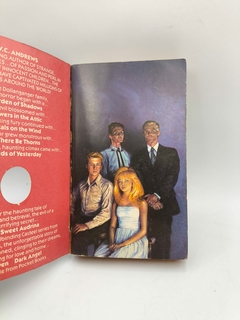 Garden Of Shadows - Autor: V. C. Andrews (1987) [usado] na internet