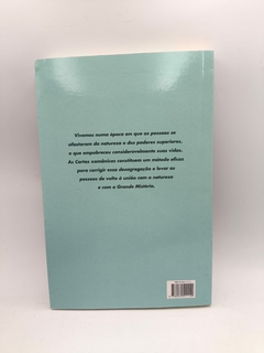Cartas Xamanicas - Autor: Jamie Sams e David Carson (2017) [usado] - Sebo Paraibuna
