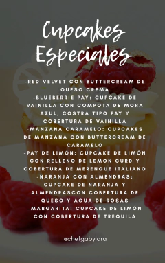 Recetario cupcakes especiales