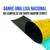 Shape Marfim Premium OSB Skate -Kart - comprar online