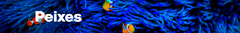 Banner da categoria Peixes