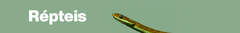 Banner da categoria Terrários