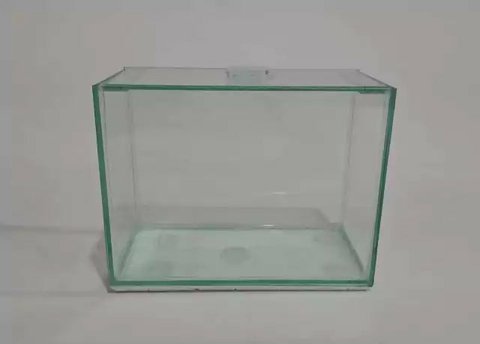 Aquário 3 Litros Retangular Para Peixe Betta 20x10x15cm