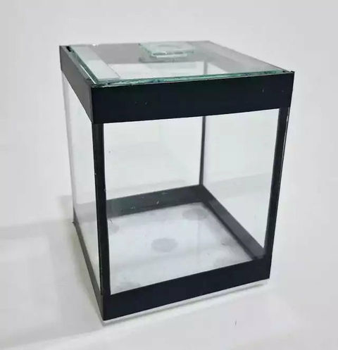 Aquário 2,2 Litros Tubular Para Peixe Betta 12x12x15cm
