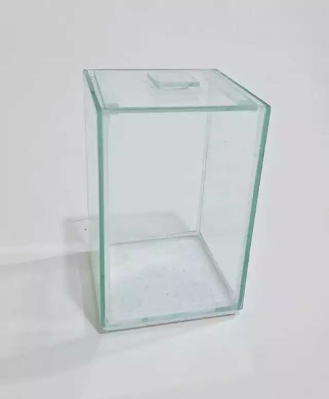 Aquário 1,5 Litros Para Peixe Betta 10x10x15cm