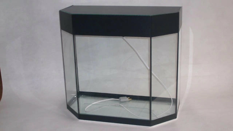 Aquário 13 Litros Delta Para Peixes e Plantas 35x20x35cm