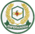 Patch Bordado Enfermagem - Profissão - Curso 8cm