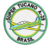 Patch bordado do avião Super Tucano A-29 com as palavras "BRASIL".