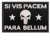 Patch Bordado justiceiro tarjeta 7x5cm