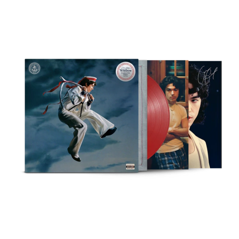 LP Conan Gray - Wishbone (Cranberry Red) Disco de Vinil com Foto Autografada - comprar online